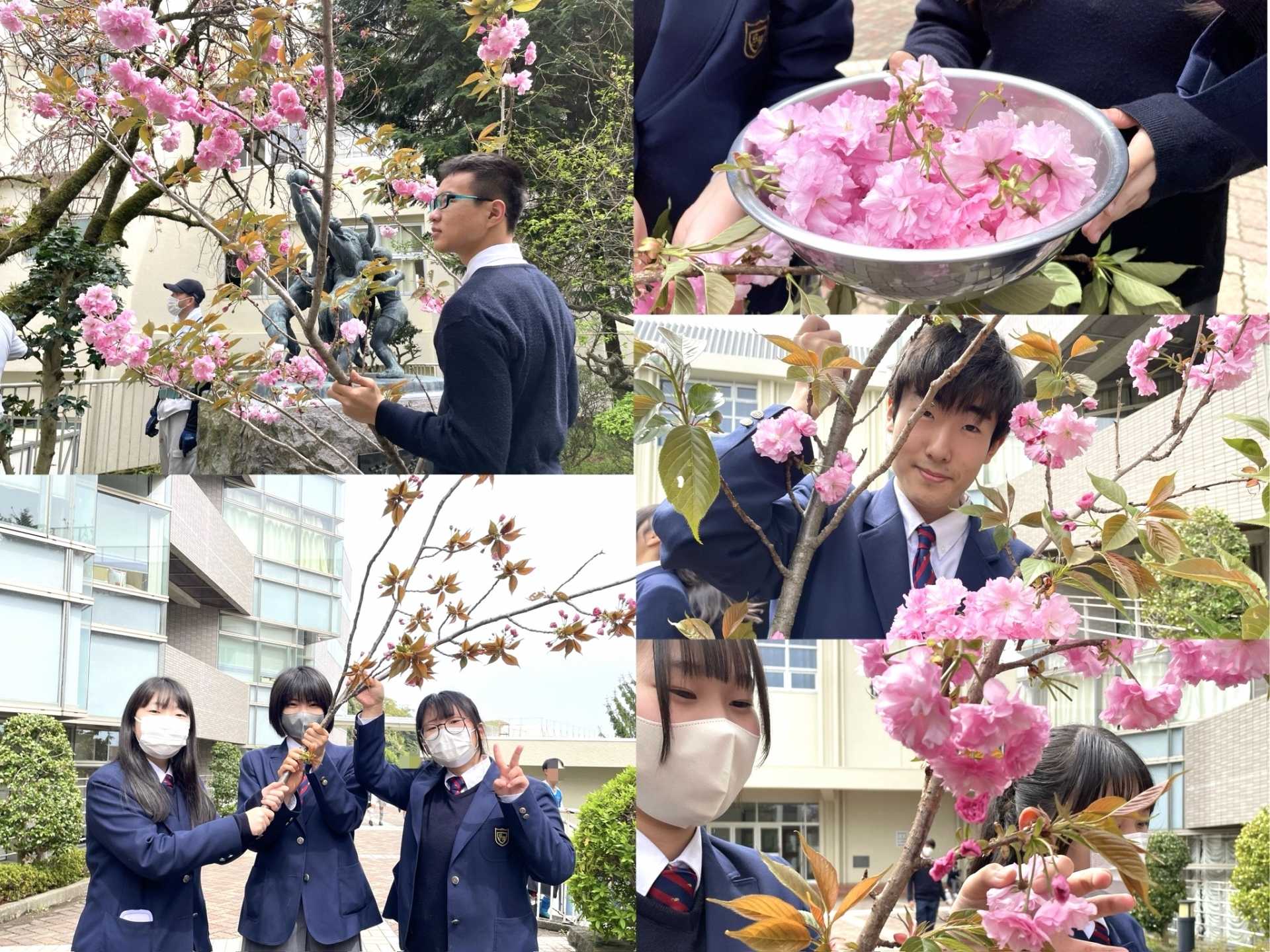 食物研究部の活動の様子